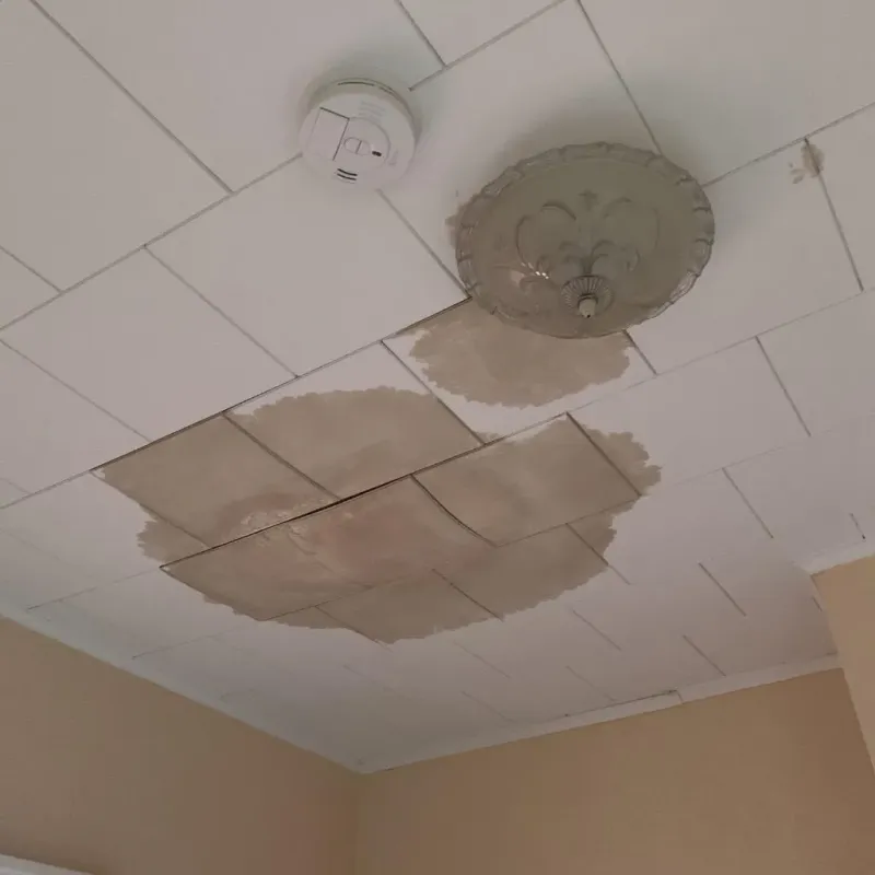 Ceiling Water Damage Repair in Braddock Hills, PA
