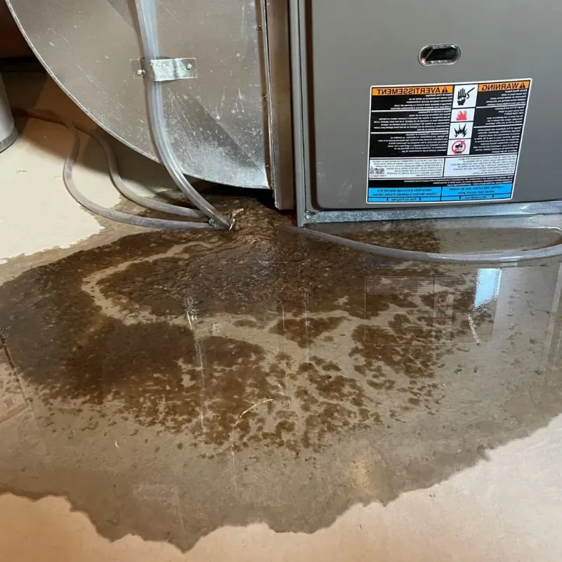 Pipe Burst and Leak Restoration in Braddock Hills, PA