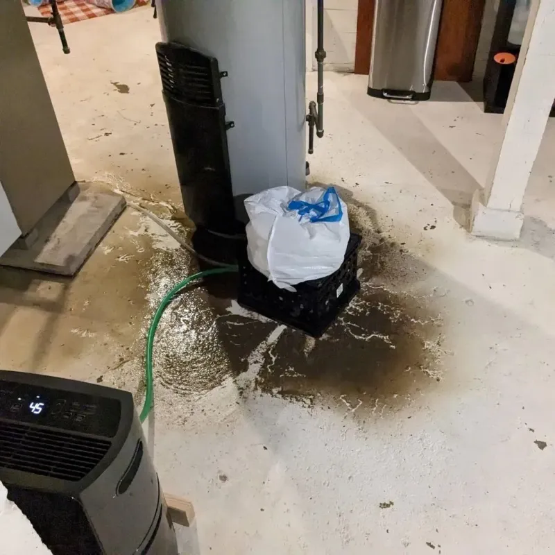 Sewage Backup Cleanup Service in Braddock Hills, PA